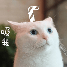 白雪姬的头像