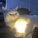 猛踹两脚歇半天的头像