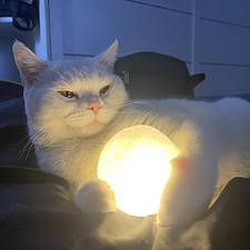 猛踹两脚歇半天的头像