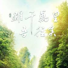 陈年艾草的头像