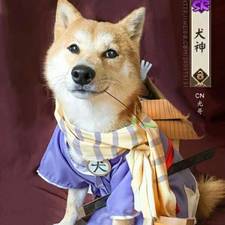 乌索普大神的头像