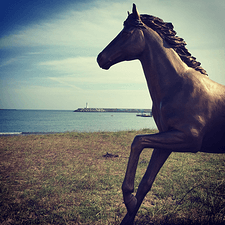 悟空sc本人的头像