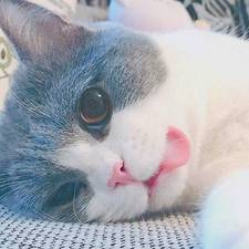 丨浅笑安然丨的头像