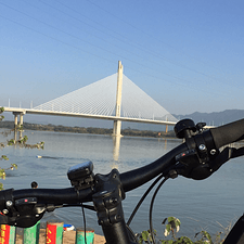 踩车去游水的头像