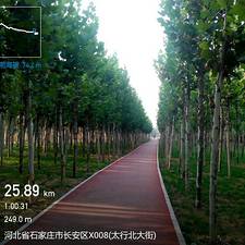 春回大地的头像