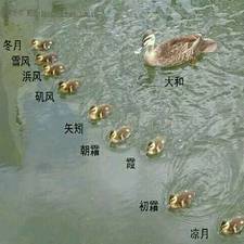 铥之铥305的头像