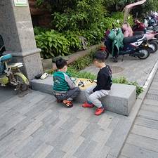 小猪主人的头像
