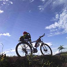 言西早平的头像