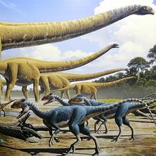 漂泊信天翁GHSS的头像