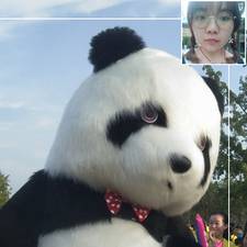 酷狗Baby的头像