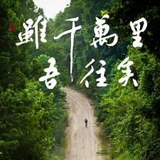 路痴的头像