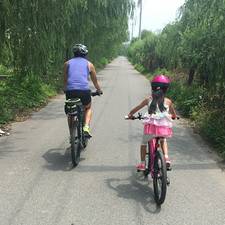 果子的树的头像