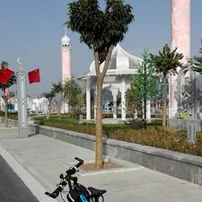 鹏程万万里的头像