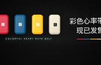 先发制人，强势夺冠