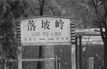 先发制人，强势夺冠