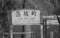 先发制人，强势夺冠