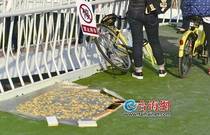 先发制人，强势夺冠
