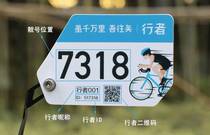 先发制人，强势夺冠