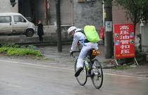 先发制人，强势夺冠