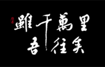 先发制人，强势夺冠