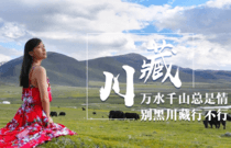先发制人，强势夺冠