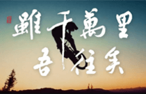 先发制人，强势夺冠