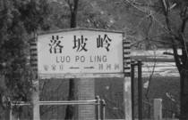 先发制人，强势夺冠