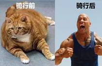 先发制人，强势夺冠