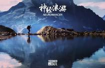 先发制人，强势夺冠