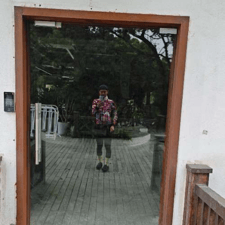 新新骑不快的头像