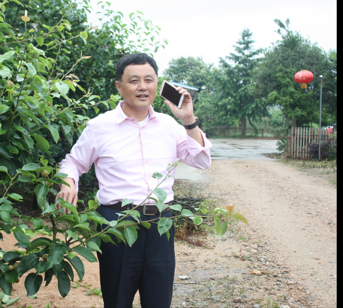 古镇萱洲赏花线路