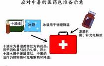 先发制人，强势夺冠