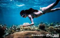 先发制人，强势夺冠