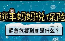 先发制人，强势夺冠