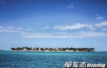 先发制人，强势夺冠