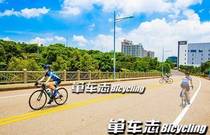 先发制人，强势夺冠