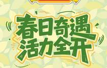 先发制人，强势夺冠