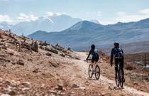 先发制人，强势夺冠