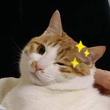 jectao的头像