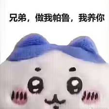 夏日限定冯某的头像